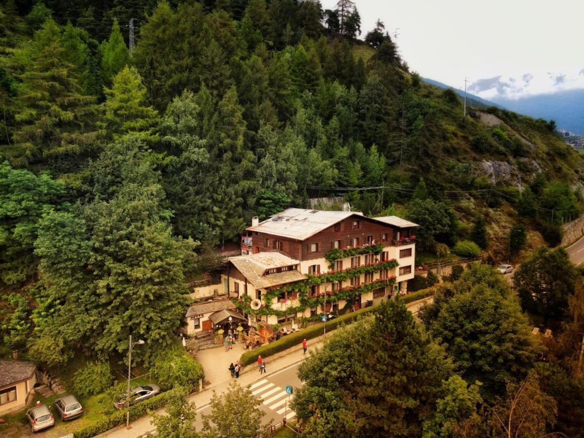 Hotel Daniela بورمْيو المظهر الخارجي الصورة