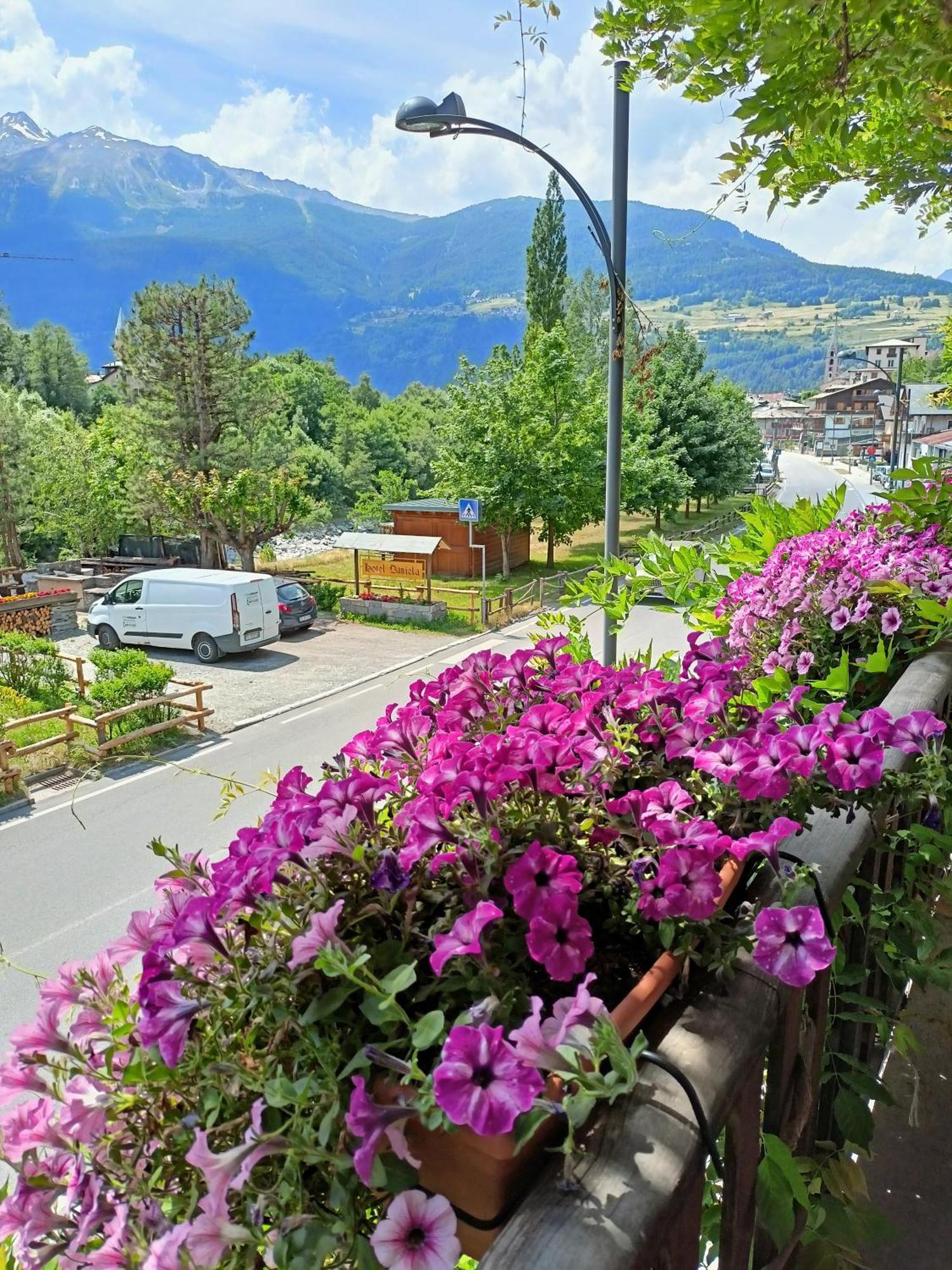 Hotel Daniela بورمْيو المظهر الخارجي الصورة